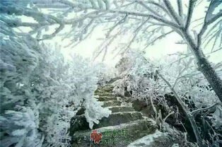 岭南的冷-西北文学网