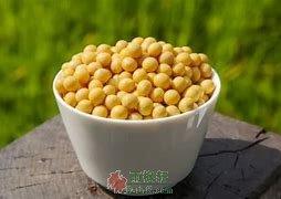 最后一碗黄豆-西北文学网