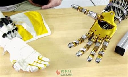 奇异的手套-西北文学网