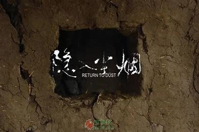 两个边缘人相濡以沫的伪悲剧【隐入尘烟】-西北文学网