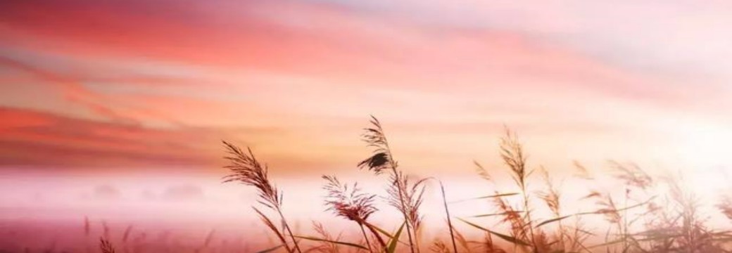 被PS不雅照敲诈得逞的官员，到底在心虚啥？-西北文学网