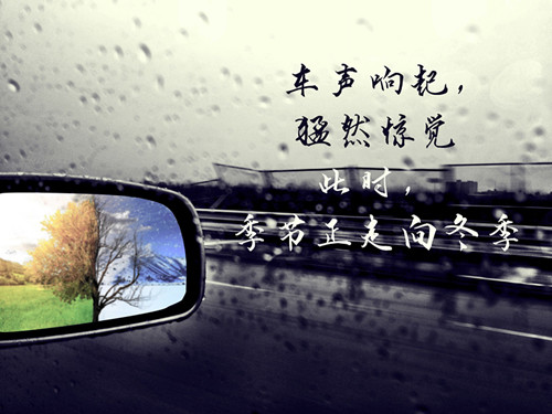 新年随想-西北文学网