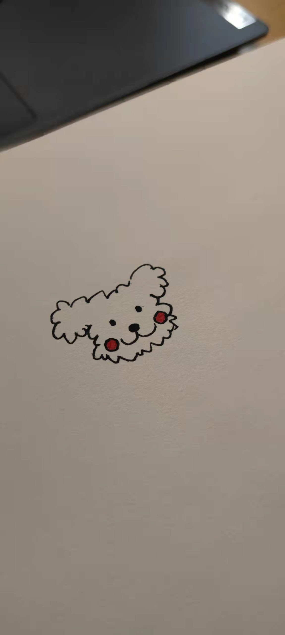 小卡-西北文学网